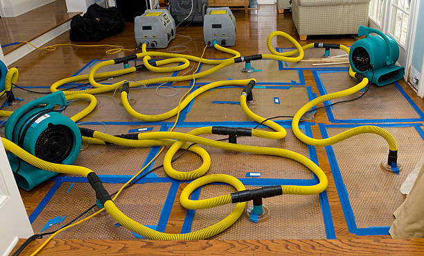 Professional Water Extraction technician working in Wenham, MA